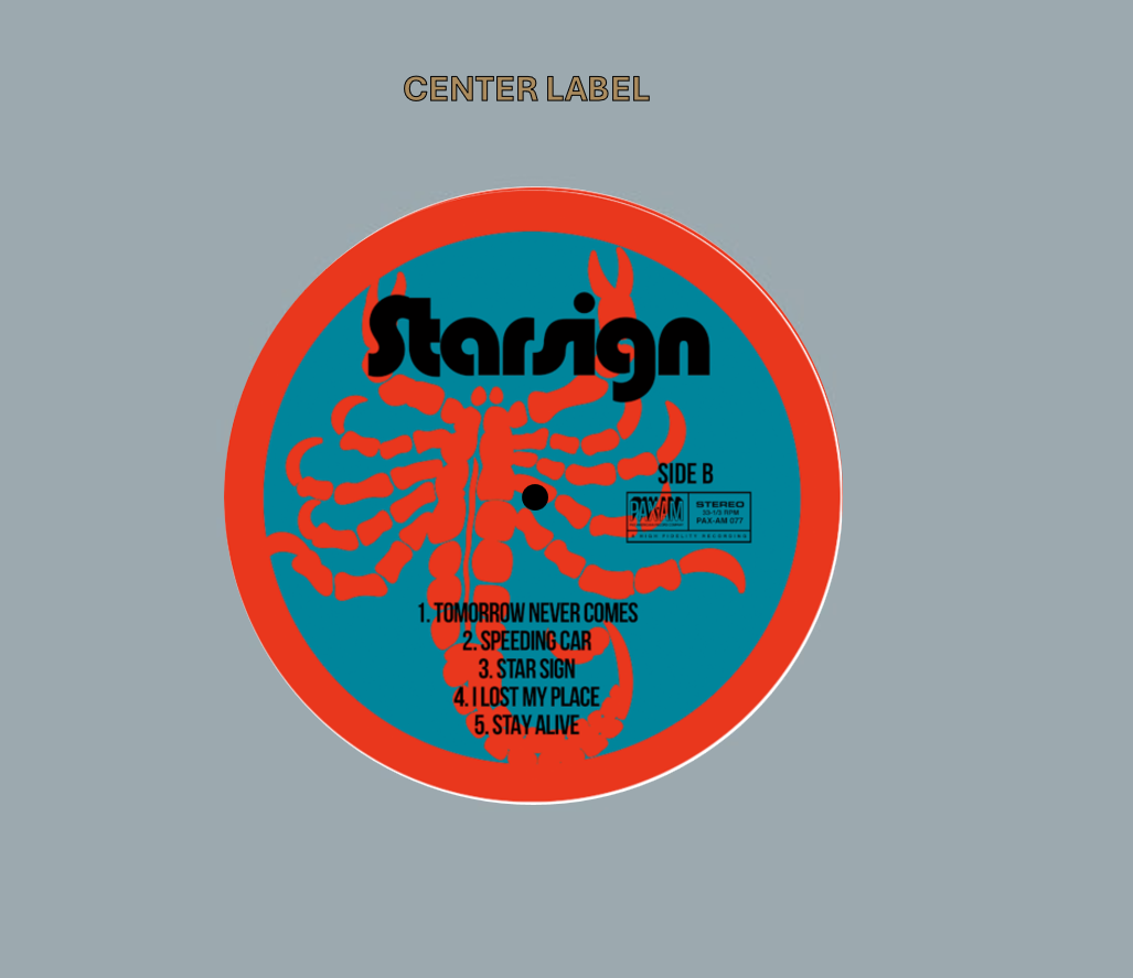 Ryan Adams 'Star Sign' STAMPER PLATE (Disc One, Side B, 1/3, Autographed)