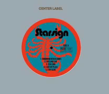 Ryan Adams 'Star Sign' STAMPER PLATE (Disc One, Side B, 1/3, Autographed)