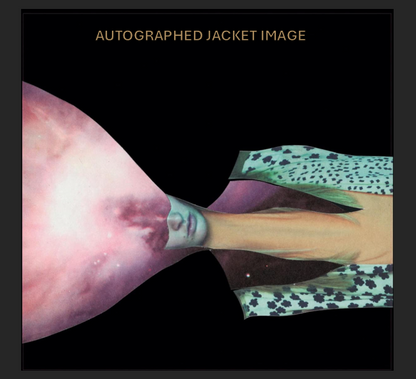 Painted Shield - Painted Shield 2 STAMPER PLATE (Disc One, Side A, 1/4, Autographed)